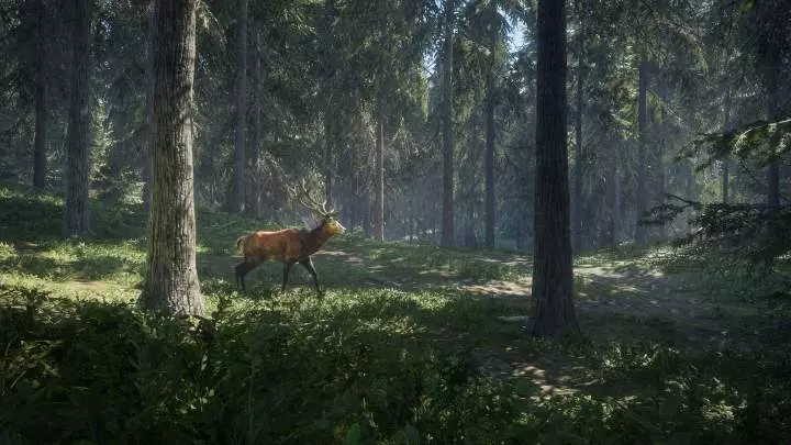 theHunter Call of the Wild