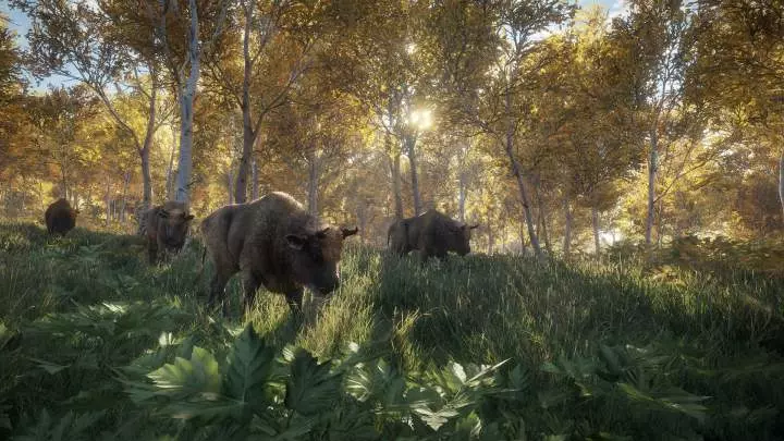 theHunter Call of the Wild