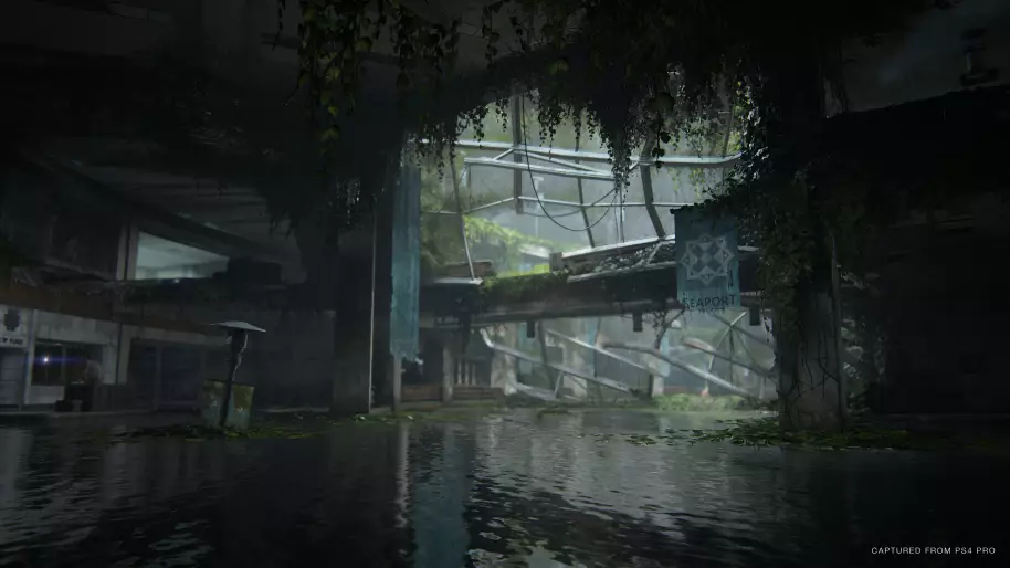 The Last of Us 2