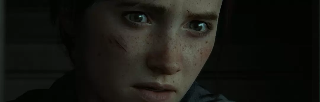 The Last of Us 2 The Last of Us 2