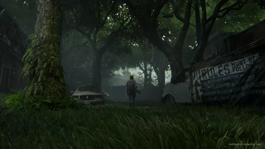 The Last of Us 2 PS4