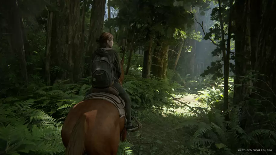 The Last of Us 2