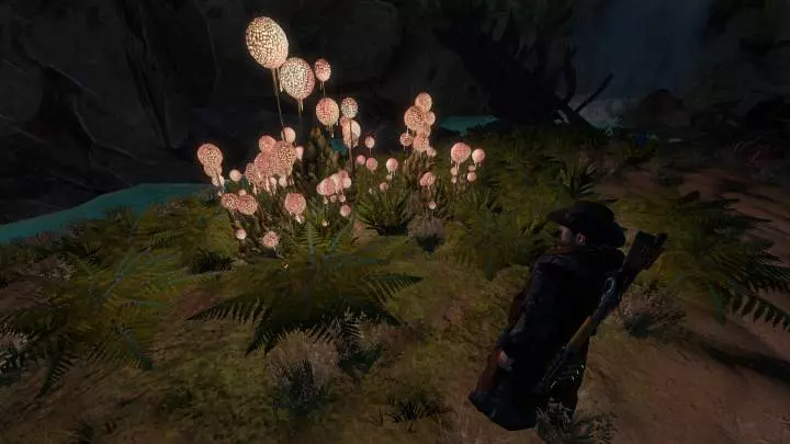 Exoplanet First Contact