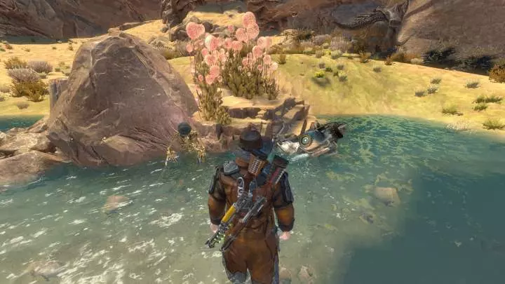 Exoplanet First Contact - PC