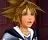 Kingdom Hearts II