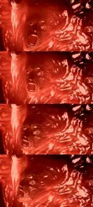 Alone in the Dark 2008