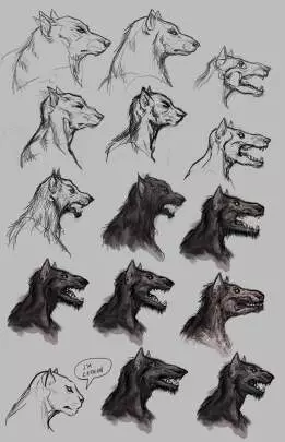 Werewolf The Apocalypse