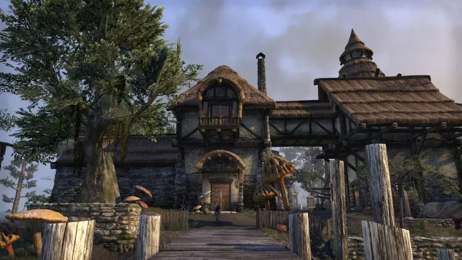 The Elder Scrolls Online Morrowind