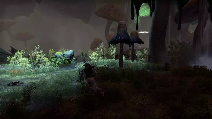 Elder Scrolls Morrowind