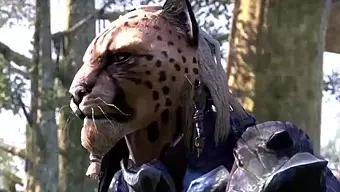 Elder Scrolls Morrowind: Un nuevo capítulo en Vvardenfell