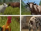 Farming Simulator Switch - Imagen