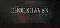 The Brookhaven Experiment PC