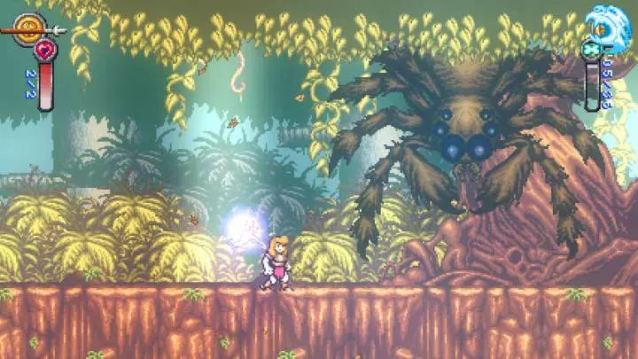 Battle Princess Madelyn - PC