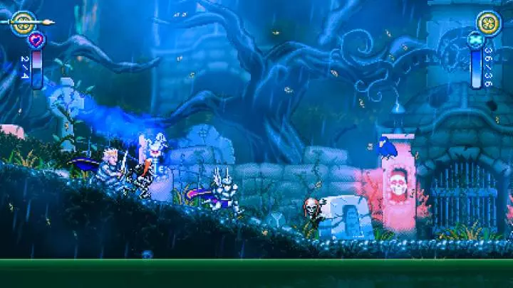 Battle Princess Madelyn