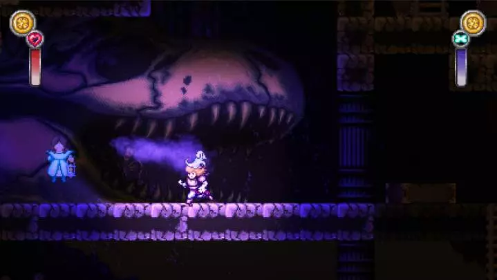 Battle Princess Madelyn
