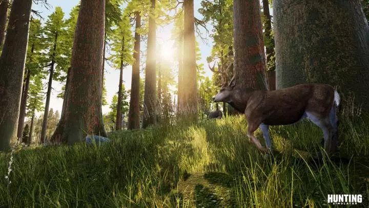 Hunting Simulator - PC