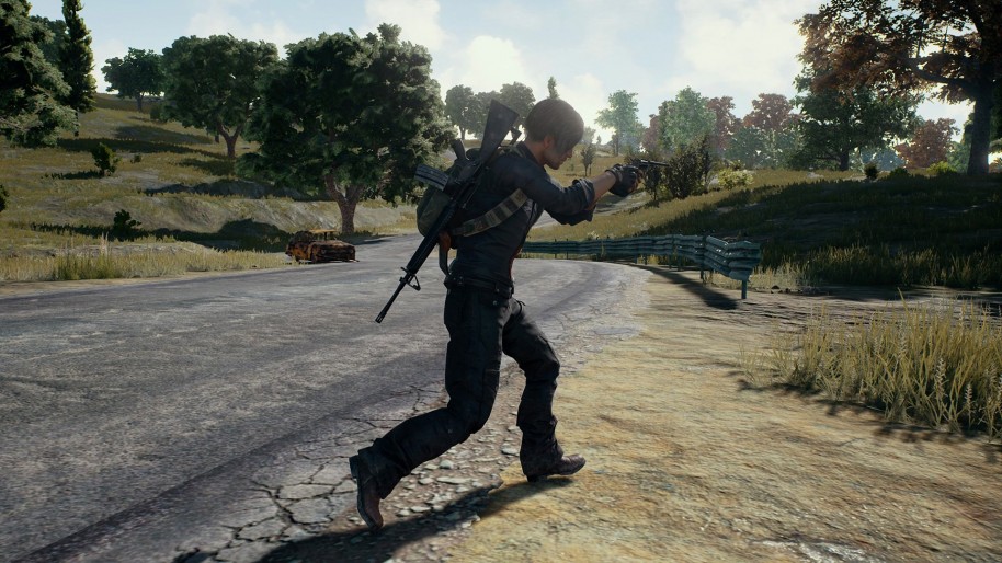 PlayerUnknown's Battlegrounds PC