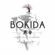 Carátula de Bokida - Heartfelt Reunion - PC