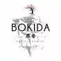 Bokida - Heartfelt Reunion PC
