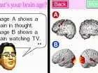 Brain Training - Imagen