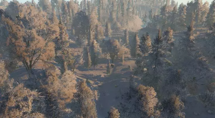 LiF Forest Village - PC