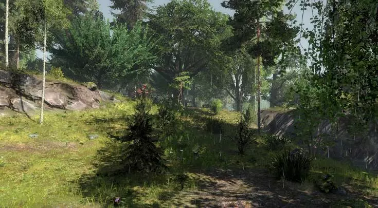 Life is Feudal: Forest Village