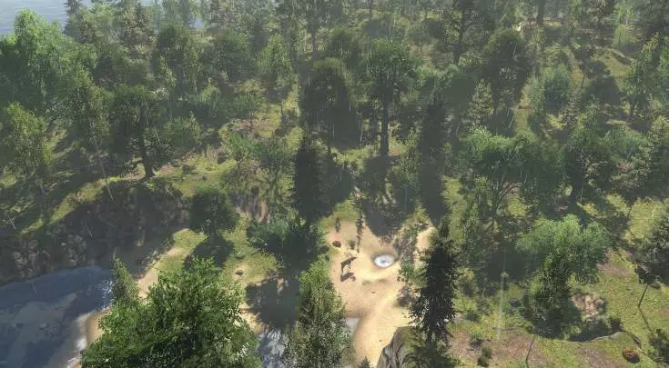 LiF Forest Village - PC