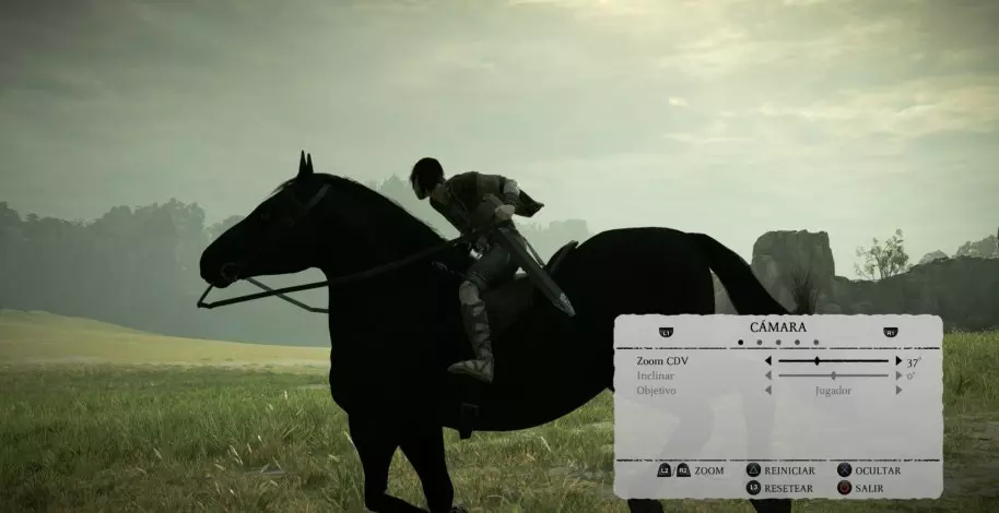 Shadow of the Colossus Remake