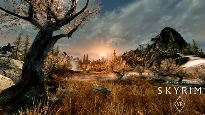 The Elder Scrolls V Skyrim - VR - PC