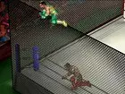 Fire Pro Wrestling World - Pantalla