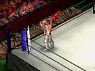 Fire Pro Wrestling World - Imagen PC