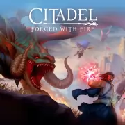 Citadel: Forged With Fire