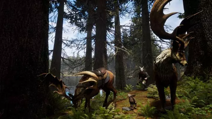 Citadel: Forged With Fire