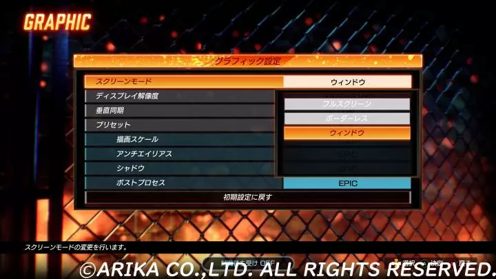 Fighting EX Layer