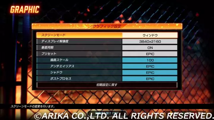 Fighting EX Layer