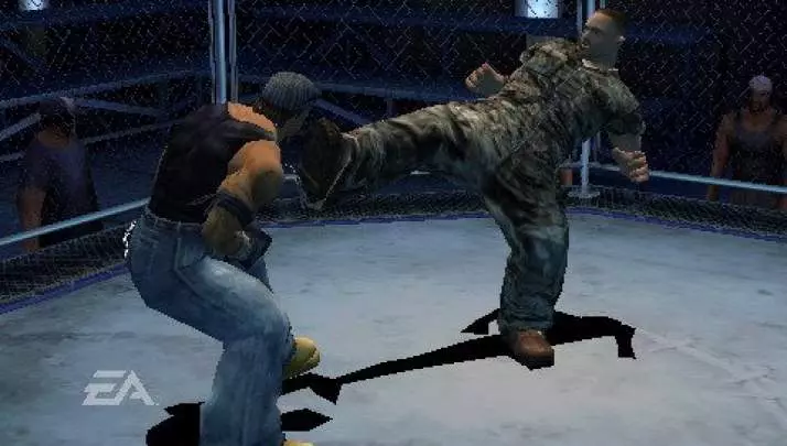 Def Jam: Fight for NY: The Takeover