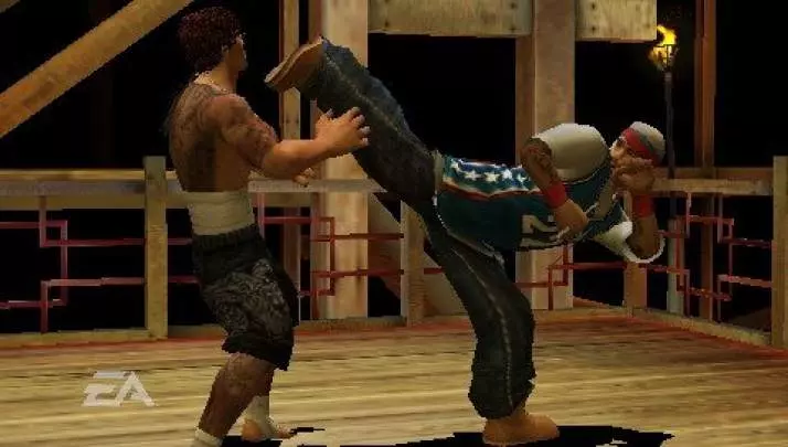 Def Jam Fight for NY