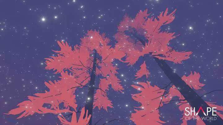 Shape of the World - PC