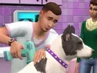 Los Sims 4 - Perros y Gatos: Veterinaria