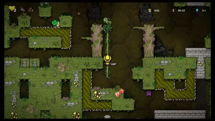 Spelunky 2