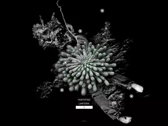 In Memoriam 2 -The Last Ritual