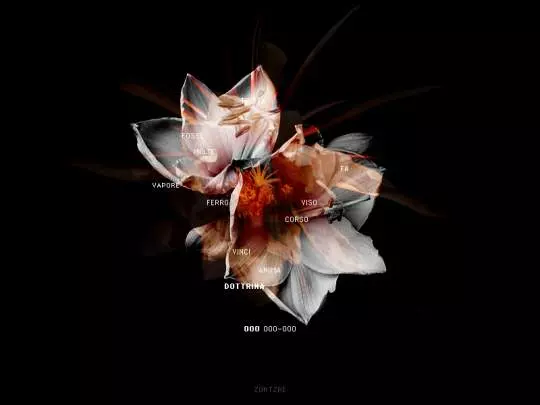 In Memoriam 2 -The Last Ritual