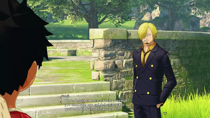 One Piece World Seeker