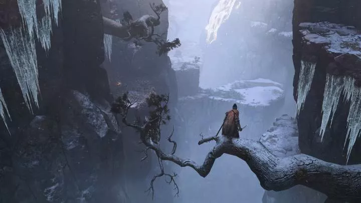 Sekiro Shadows Die Twice - PS4