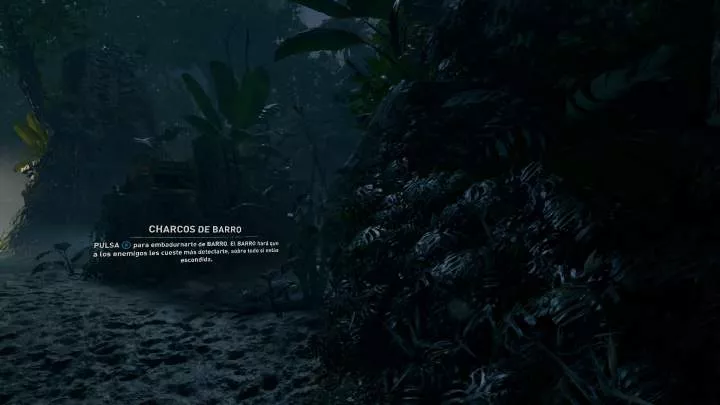 Shadow of the Tomb Raider