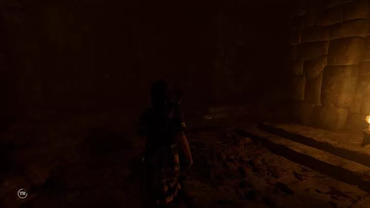 Shadow of the Tomb Raider