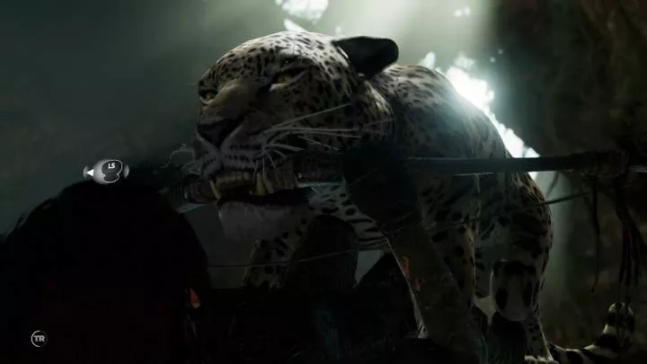 Shadow of the Tomb Raider