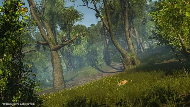 Assassin's Creed: Rogue Remastered