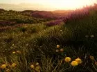 Mavericks Proving Grounds - Imagen PC