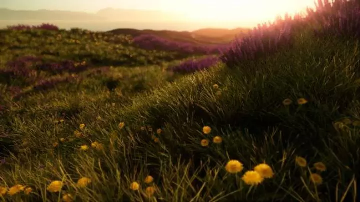 Mavericks Proving Grounds